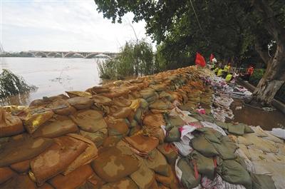 　7月4日，长沙橘子洲大桥附近城区湘江沿岸用沙袋修筑的子堤。新华社记者 龙弘涛 摄